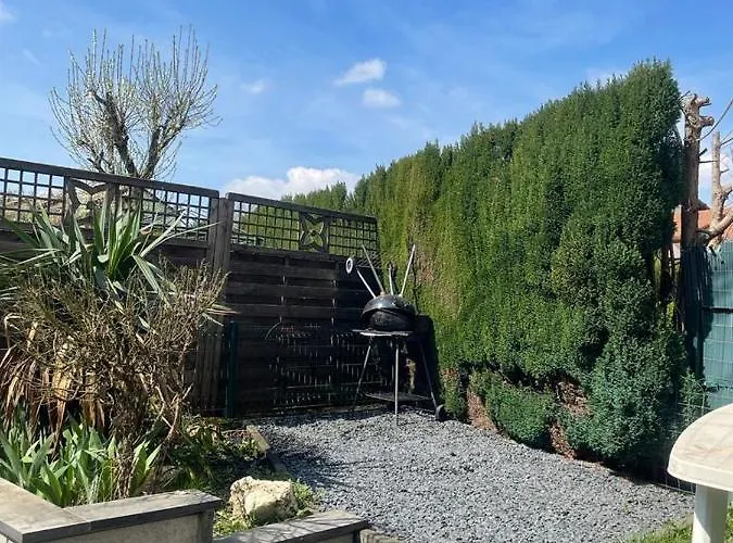 아파트 Superbe Au Rdc Avec Cheminee Villerupt