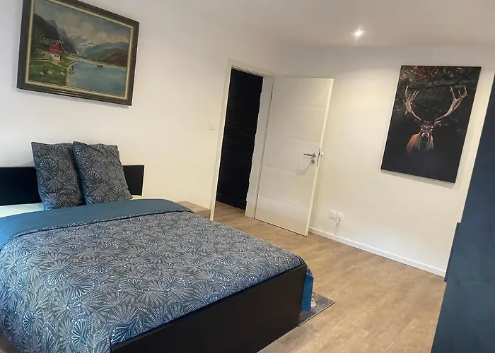 Superbe Au Rdc Avec Cheminee Villerupt